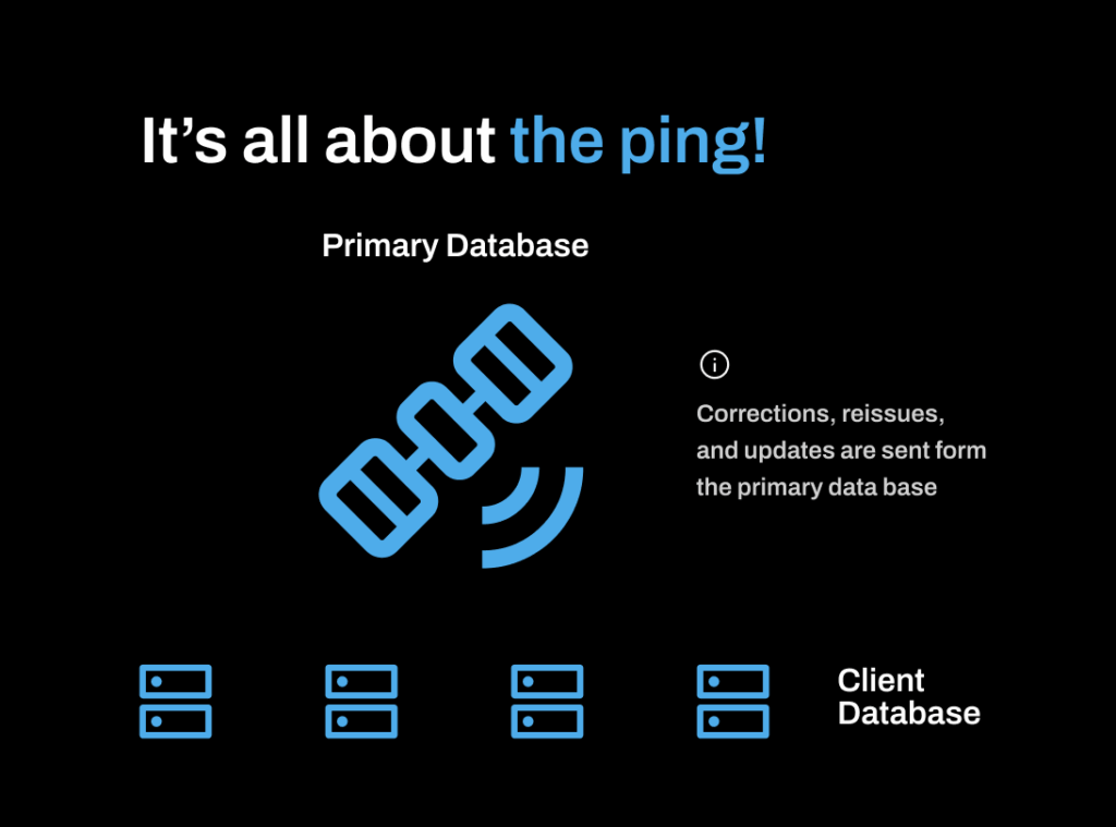 Diagram explaining how the ping and satelittes work together